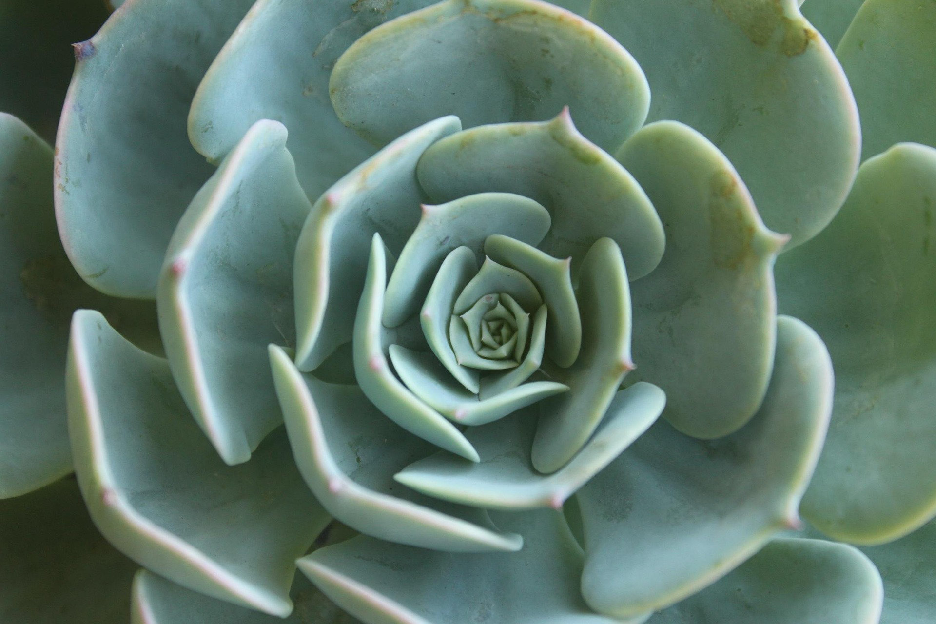 Sabine Botterer :: MBSR, Meditation, Yoga und Bewegung